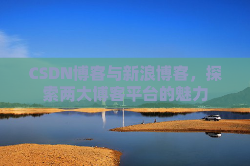 CSDN博客与新浪博客，探索两大博客平台的魅力